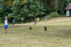 dsc_8530_20180705_2067365401