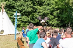 dsc_9312_20180705_1985505314