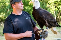 dsc_9374_20180705_1769620263