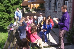 img_8379_20130704_1765432960