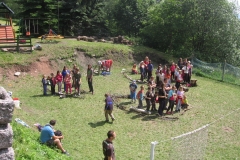 img_8446_20130704_1631008041