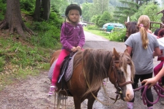 img_8646_20130709_1473491700