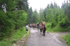 img_8647_20130709_1887769694
