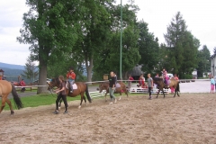 img_8657_20130709_1384803463