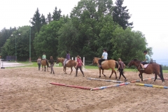 img_8665_20130709_1642322932