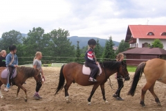 img_8686_20130709_1222444391
