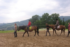 img_8688_20130709_1622322358