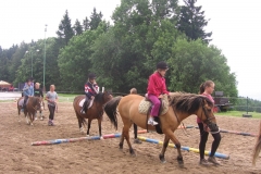 img_8695_20130709_1902445548