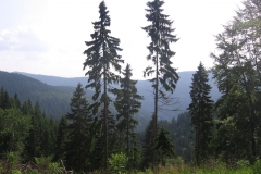 img_9120_20130711_1951055783