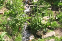 img_3327_20100721_1438947175