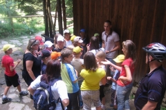 img_3337_20100715_1485548575