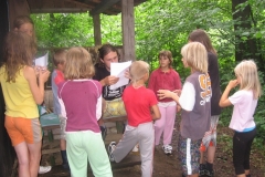 img_3517_20100721_2072709404