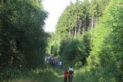 cestou-necestou-od-zokeje-vani_20120102_1929761839