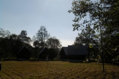 fotografie1322_20101124_1942621361
