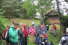 sklarny-1_20110817_1889774361